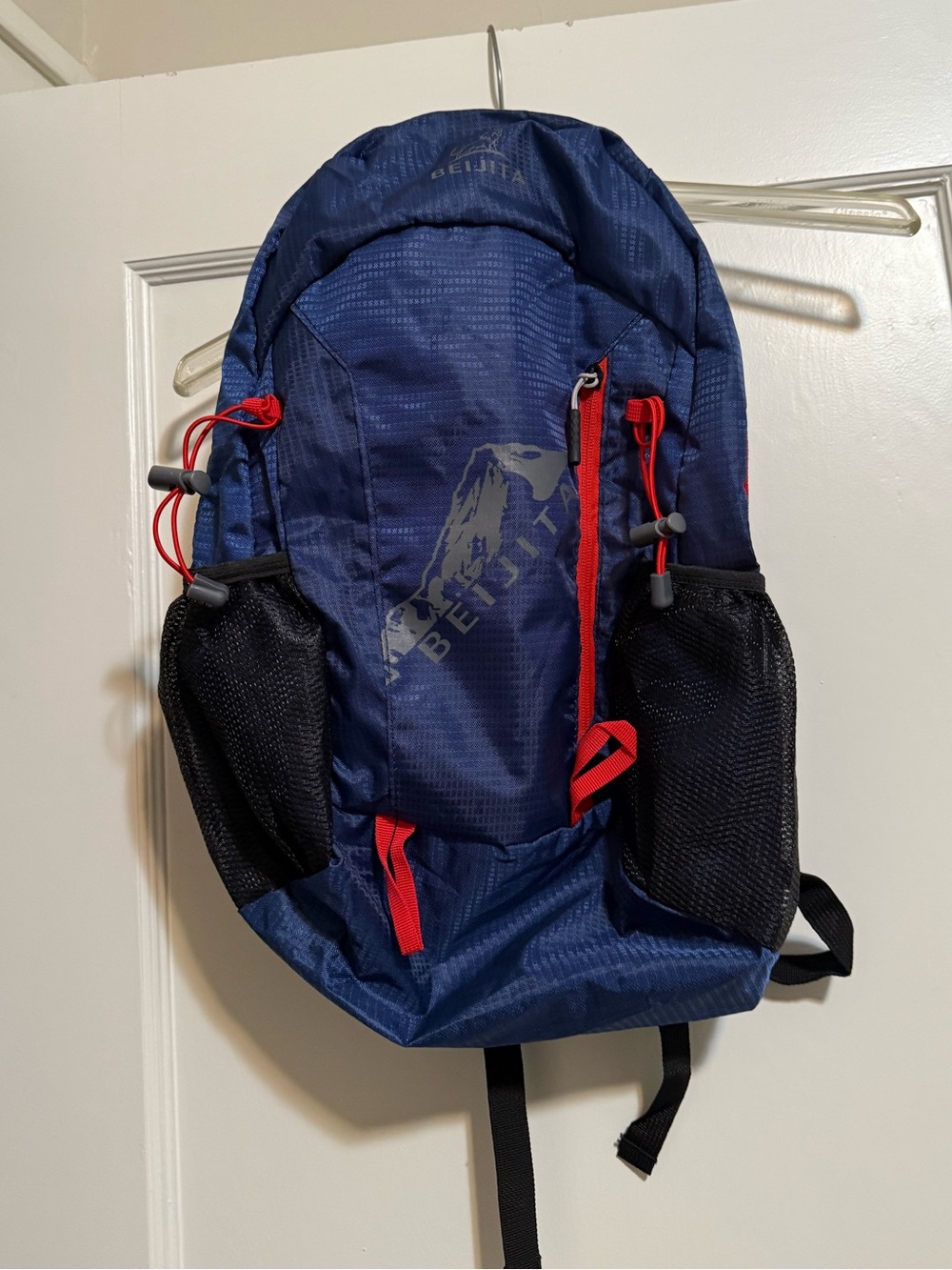 Blue Daypack Backpack with Red Accents